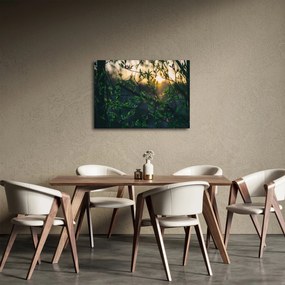 Obraz presvitajúceho slnka cez vetvičky stromov (70x50 cm)