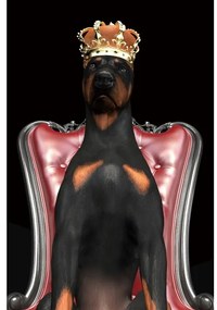 Signal Obraz DOG IN CROWN 80x120 cm