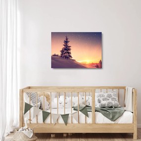 Sklenený obraz zasneženého stromu na lúke (70x50 cm)