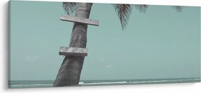 Obraz - Palma v Karibiku (120x50 cm)