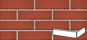 Klinker Klinker roh fasádny červená hladká 6,5x25x12 cm RPASEKPRCE