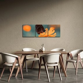 Obraz - motýľ na oranžovom kvete (s hodinami) (90x30 cm)