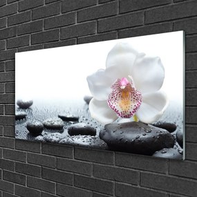 Skleneny obraz Kvet kamene umenie 125x50 cm