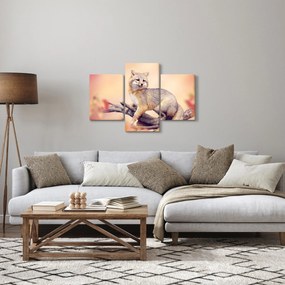Obraz - Líška (90x60 cm)