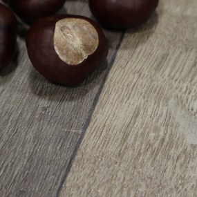 Beauflor, AKCIA: 60x210 cm PVC podlaha - lino Texalino Supreme 997 D Valley Oak - dub, šíře, hnedá, filc, chodba / predsieň