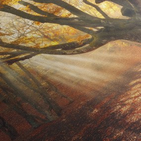 Obraz - Jesenný svit (70x50 cm)