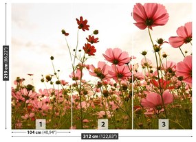Fototapeta Vliesová Vesmír kvety 208x146 cm