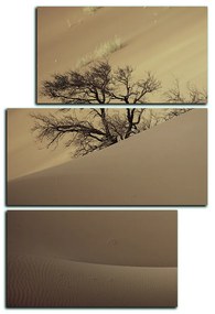Obraz na plátne - Červené piesočné duny - obdĺžnik 7133FD (105x70 cm)