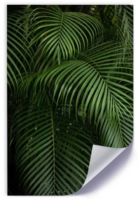Gario Plagát Palmy v trópoch Farba rámu: Bez rámu, Veľkosť: 20 x 30 cm
