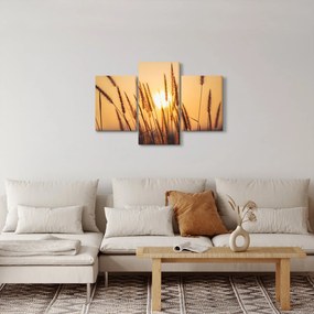 Obraz - Traviny na slnku (90x60 cm)
