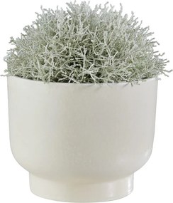 PLANT BOWL Kvetináč 26 cm - biela