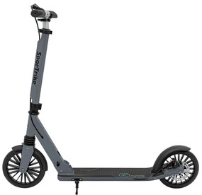 Kolobežka SPORTRIKE ZSP.QZ-2033 strieborná