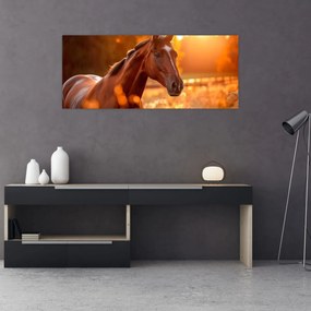 Obraz - Kôň v západe slnka (120x50 cm)