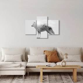 Obraz - Arktický vlk zrkadliaci divokú krajinu, čiernobiely (90x60 cm)