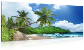 Obraz nádherná pláž na ostrove Seychely - 100x50