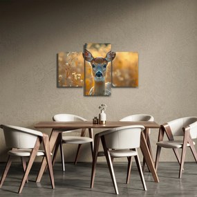 Obraz - Laň (90x60 cm)