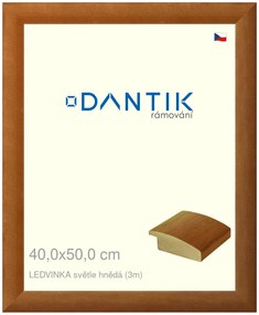 DANTIK rám na obraz 40x50 | LEDVINKA světle hnědá (Sklo Čiré)
