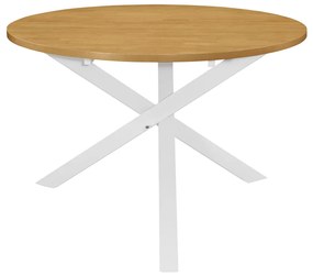 vidaXL Jedálenský stôl, biely 120x75 cm, MDF