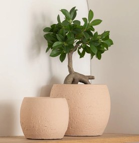 Dekoratívny umelý ženšenový fikus v kvetináči - 25*13*37 cm
