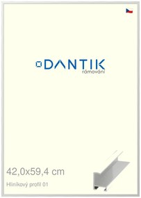 DANTIK rám na obraz 42x59,4 | ALU Stříbrná lesklá (Plexi Čiré)