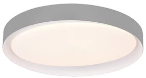 LED stropné osvetlenie Reality Zeta sivá R62712411