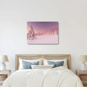 Sklenený obraz - Stromy pod snehovou prikrývkou (70x50 cm)