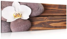 Obraz wellness kamene a orchidea na drevenom pozadí