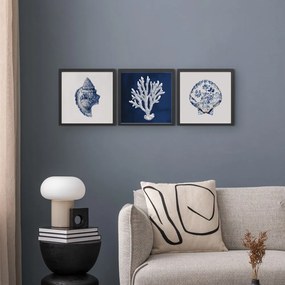 Obraz 30x30 cm Sea Treasure – Styler