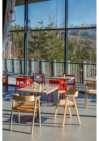 Jedálenská stolička s podrúčkami z dubového dreva v prírodnej farbe Flip – Gazzda