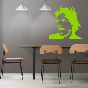 Veselá Stena Samolepka Mick Jagger Farba: zelená, Veľkosť: 80 x 80 cm