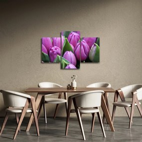 Obraz - kvety tulipánov (90x60 cm)