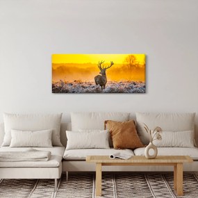 Obraz - Jeleň pri východe slnka (120x50 cm)