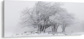 Obraz - Biela zima (120x50 cm)
