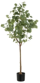 Umelý kvet Eucalyptus – Casa Selección