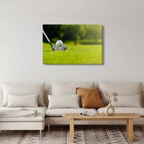 Obraz - Golf (90x60 cm)