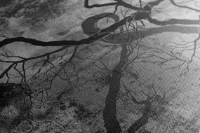 Obraz surrealistické stromy v čiernobielom prevedení - 90x60