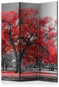 Paraván - Autumn in the Park [Room Dividers] Veľkosť: 135x172, Verzia: Akustický