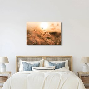 Obraz - Tráva na slnku (90x60 cm)
