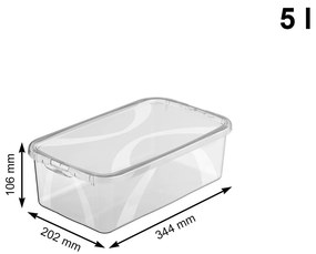 Úložný box, s víkem, Rotho LONA, 34x20x11 (5l dámské boty)