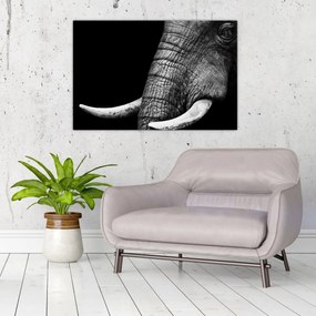 Obraz - Slonie kly (90x60 cm)