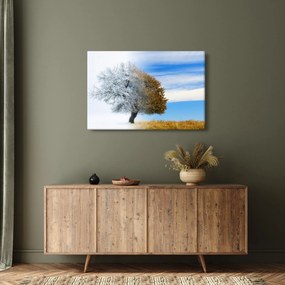 Obraz - Zmena ročného obdobia (90x60 cm)