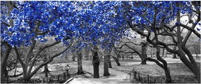 Obrázok - Modré stromy, Central Park, New York (120x50 cm)