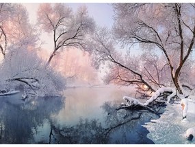 Fototapeta na stenu Winter landscape