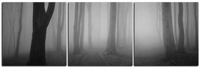 Obraz na plátne - Hmla v lese - panoráma 5182QB (90x30 cm)