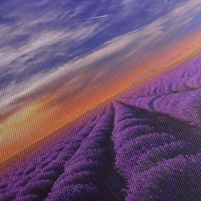 Obraz levanduľového pole (90x60 cm)