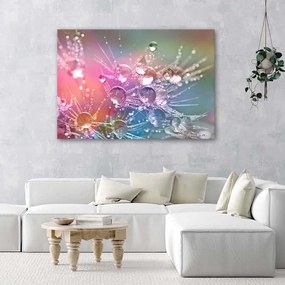 Gario Obraz na plátne Kvapky vody na púpave Rozmery: 90 x 60 cm