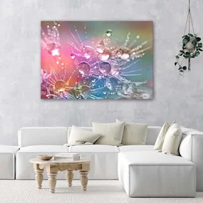 Gario Obraz na plátne Kvapky vody na púpave Rozmery: 90 x 60 cm