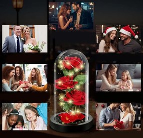 DexXer Sada 3 večných ruží v skle s LED osvetlením Eternal Rose