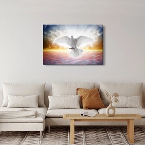 Obraz holubice (90x60 cm)