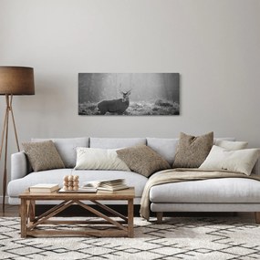 Obraz - Jeleň v lese, čiernobiela (120x50 cm)